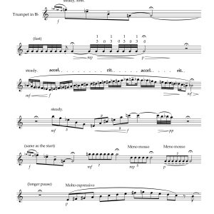 Three pieces for Solo Trumpet